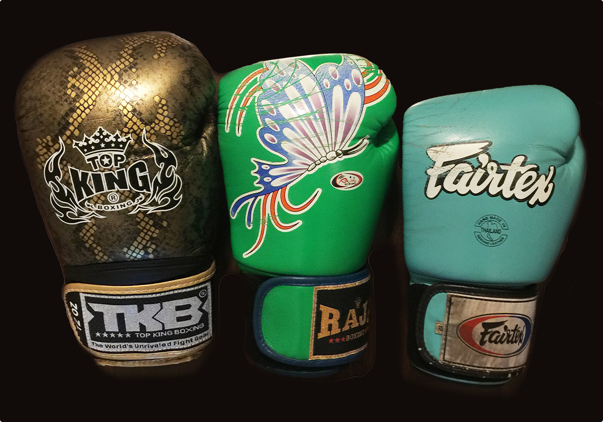 Muay Thai Gloves Brand Comparison