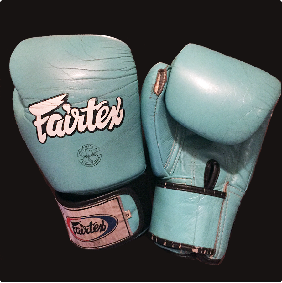 Fairtex Muay Thai Gloves Review