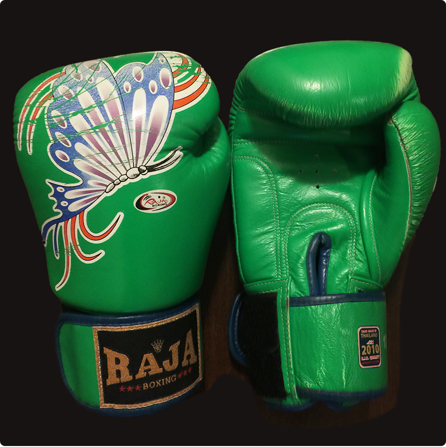 Fairtex Muay Thai Gloves Review